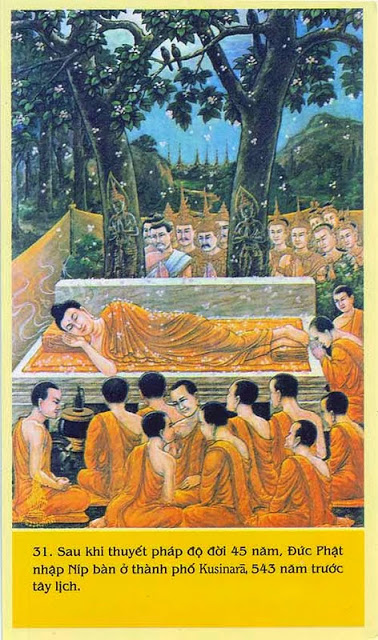 CHUYỆN KỂ ĐẠO PHẬT – BƯỚC TỚI CÁI CHẾT