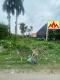 Bán đất mặt đường Nguyễn Trường Tộ, Đặng Cương, An Dương, Hải Phòng