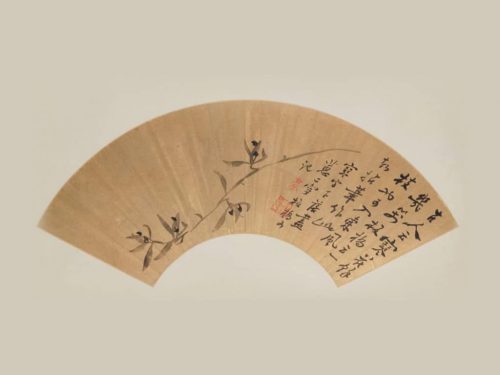 BẢO BỐI NHÂN SINH