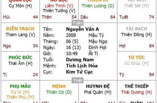 CÁCH LUẬN SỐ TỬ VI b