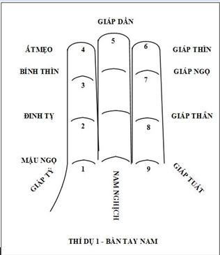 Cách tính cung sinh