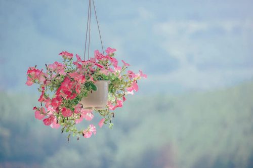 KHI CUỘC SỐNG QUÁ CÔ ĐƠN VÀ BUỒN TẺ, 7 LỜI KHUYÊN NÀY SẼ CHO BẠN NHỮNG PHÚT GIÂY HẠNH PHÚC