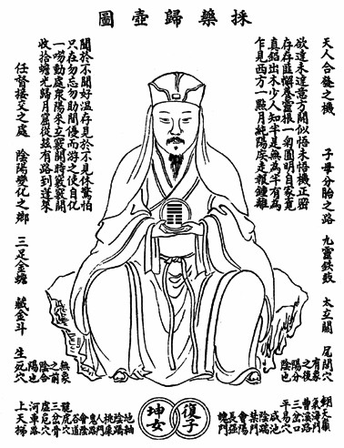  THÁI DƯỢC QUI HỒ ĐỒ