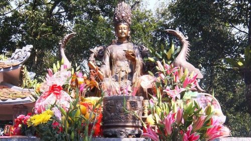 NHỮNG ĐIỀU CƠ BẢN VỀ ĐẠO MẪU