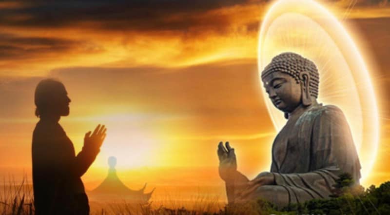 THUỐC GÌ CÓ THỂ CHỮA LÀNH BÁCH BỆNH