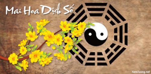 Tượng của vạn vật trong mai hoa dịch số