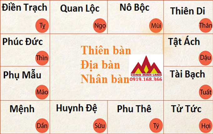 THÂN CƯ PHÚC ĐỨC