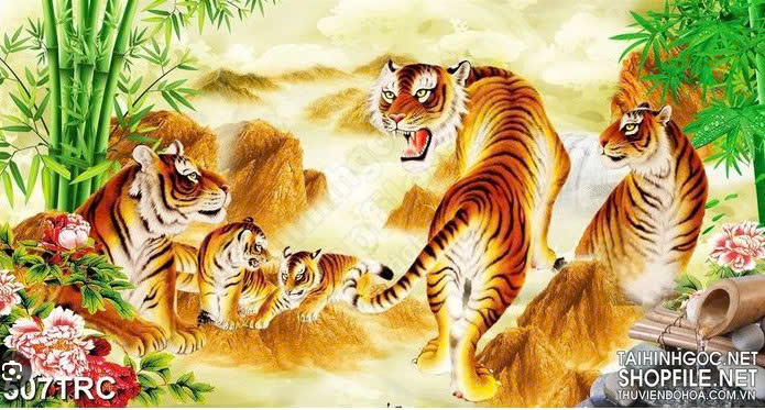 QUAN NGŨ HỔ