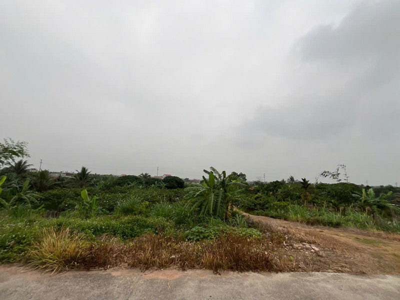 CHÍNH CHỦ CẦN BÁN GẤP TRANG TRẠI CHĂN NUÔI TẠI HIỆP LỰC, NINH GIANG, HẢI DƯƠNG 