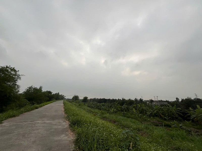 CHÍNH CHỦ CẦN BÁN GẤP TRANG TRẠI CHĂN NUÔI TẠI HIỆP LỰC, NINH GIANG, HẢI DƯƠNG 