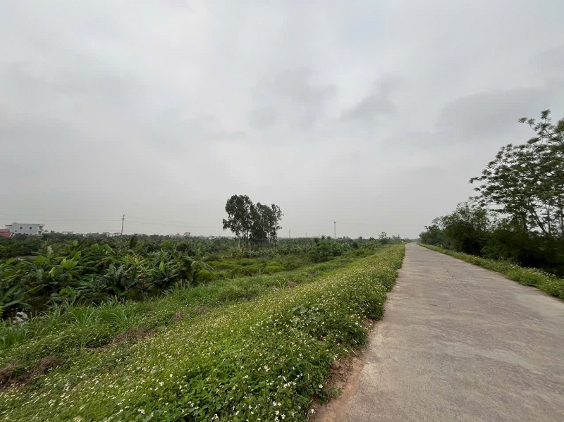 CHÍNH CHỦ CẦN BÁN GẤP TRANG TRẠI CHĂN NUÔI TẠI HIỆP LỰC, NINH GIANG, HẢI DƯƠNG 