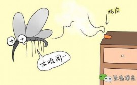 BẢO ĐẢM CHƯA ĐẦY 1 PHÚT, MUỖI BAY VĨNH VIỄN RA KHỎI NHÀ NHÉ