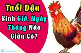 CHỌN NGÀY THÁNG SINH CON NĂM DẬU ĐỂ BÉ CÓ VẬN SỐ TỐT NHẤT