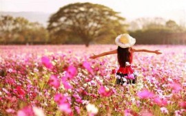 CUỘC ĐỜI LÀ CỦA BẠN, VÌ THẾ ĐỪNG CẦM BẢN ĐỒ CỦA NGƯỜI KHÁC ĐỂ DÒ ĐƯỜNG ĐI CỦA MÌNH