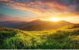 Lạc thú của bản năng là gì ?