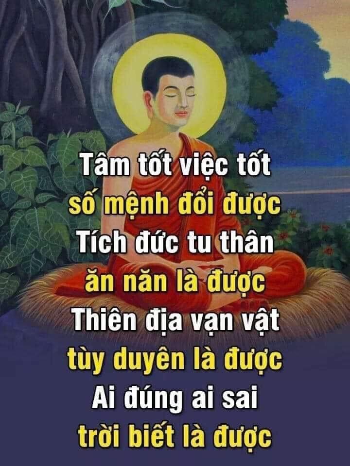 Chấn ngôn Cuộc sống Lời hay ý đẹp,