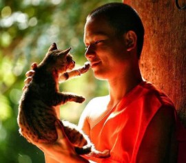 LÀM NGƯỜI KHÔNG CẦN TOÀN VẸN, CHỈ CẦN CÓ LƯƠNG THIỆN