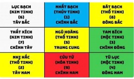 Ngũ hoàng sát (Số 5) là hành Hỏa đới Thổ gồm sao Liêm Trinh và sao Bệnh Phù.