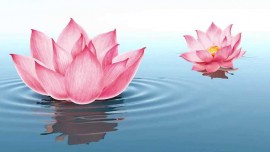 NHÂN SINH CÓ ‘THƯỚC’, LÀM NGƯỜI CÓ ‘ĐỘ’, MỌI SỰ NÊN ĐỂ TUỲ DUYÊN