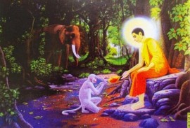 PHẬT DẠY: CHẤT CHỨA OÁN HẬN CHỈ CÀNG HUỶ DIỆT BẢN THÂN, LÀM ĐƯỢC ĐIỀU NÀY MỚI CÓ THỂ AN VUI MÀ SỐNG