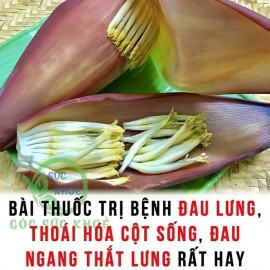 TRỊ BỆNH ĐAU LƯNG, THOÁI HÓA CỘT SỐNG, ĐAU NGANG THẮT LƯNG RẤT HAY BẰNG TRÁI DỪA LỬA VÀ BẮP CHUỐI GIÀ CUI 
