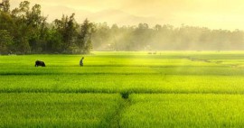 Tâm phải biết buông bỏ thì đời mới hạnh phúc, cuộc sống mới an nhiên