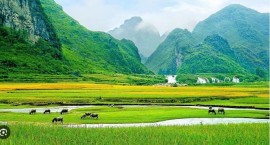 BIẾT ẨN MÌNH, KHÔNG LO LỠ THỜI