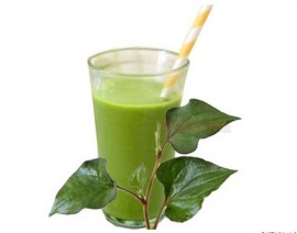 SUY GIÃN TĨNH MẠCH HÃY DÙNG LÁ DIẾP CÁ