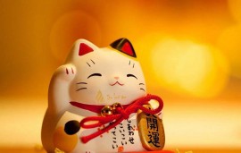 ĐINH MÃO 1987 trong năm BÍNH NGỌ 2026