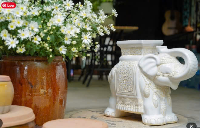 Ý NGHĨA VÀ CÔNG DỤNG CỦA ĐÔN VOI