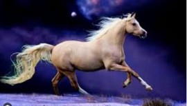 ĐƯỜNG XA MỚI BIẾT NGỰA HAY, Ở LÂU MỚI BIẾT LÒNG NGƯỜI