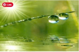 Những loại người này, có duyên với tu đạo…