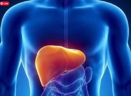 GAN SỢ NHẤT ĐIỀU GÌ? 5 ĐIỀU CẤM KỴ CẦN TRÁNH ĐỂ BẢO VỆ 