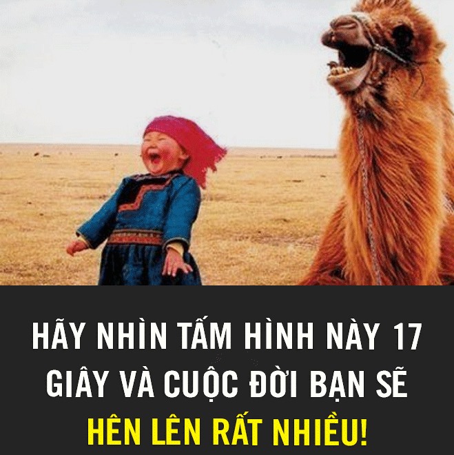HÃY NHÌN TẤM HÌNH NÀY 17 GIÂY!!