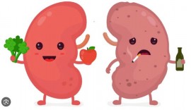 7 DẤU HIỆU THẬN ĐANG “LÊN TIẾNG” – 9 BƯỚC DƯỠNG THẬN MỖI NGÀY ĐỂ GIỮ MỆNH, DƯỠNG CĂN NGUYÊN