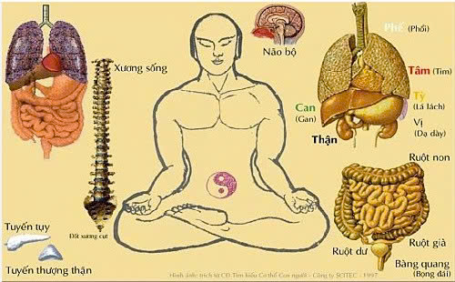 GIẢI MÃ KHÍ CÔNG : TẠI SAO NGƯỜI LUYỆN KHÍ THÀNH TỰU KHÔNG CÒN ĐẾN CHÙA, KHÔNG GẮN MÌNH VỚI BẤT CỨ TÔN GIÁO NÀO