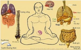 GIẢI MÃ KHÍ CÔNG : TẠI SAO NGƯỜI LUYỆN KHÍ THÀNH TỰU KHÔNG CÒN ĐẾN CHÙA, KHÔNG GẮN MÌNH VỚI BẤT CỨ TÔN GIÁO NÀO