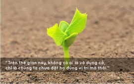 KHÔNG CÓ AI LÀ VÔ DỤNG!