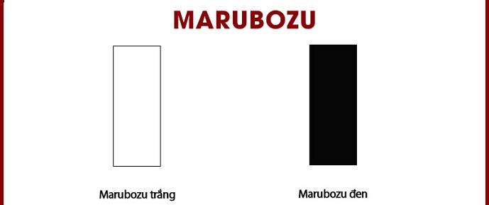 Mô hình nến Marubozu