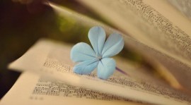 ĐƯỜNG ĐỜI MỘT ĐI KHÔNG TRỞ LẠI, SỐNG LÀM SAO CHO KHỎI BI THƯƠNG 