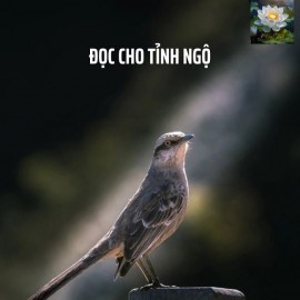 ĐỌC CHO TỈNH NGỘ
