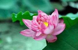 ĐỪNG NGHĨ MÌNH CAO QUÝ MÀ LÊN MẶT, CẢM GIÁC THÂN PHẬN LÀ ĐIỀU TỐI KỴ NHẤT KHI LÀM NGƯỜI